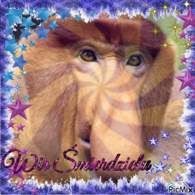 Rychson - #konkursnanajbardziejgownianymemznosaczem