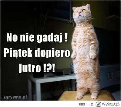 bibi__ - No cóż, trzeba wstać i się zacząć ogarniać, nie chce mi się ( ͡° ʖ̯ ͡°) #prz...