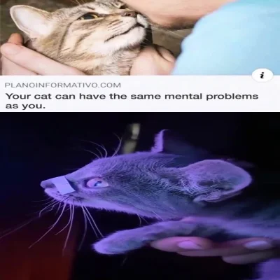 NaczelnyCenzopapista - @120Dni_Sodomy: