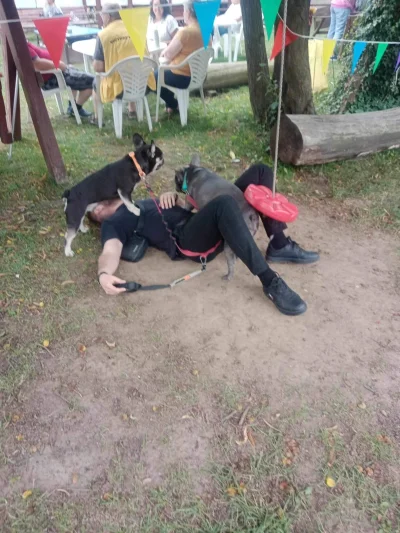 Hejkapi - Chuop chcial sie pobujać, śmiechu warte 
#przegryw