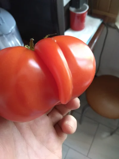 hpnd - Pomidor z siurem xd