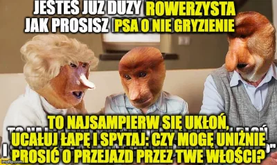 QoTheGreat - #psiarze