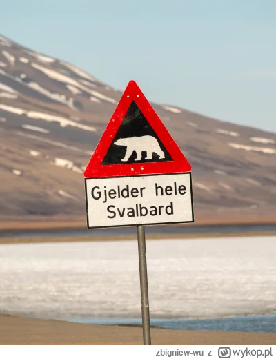 zbigniew-wu - Pozdrowienia z końca świata!

Svalbard. W poszukiwaniu niedźwiedzi pola...