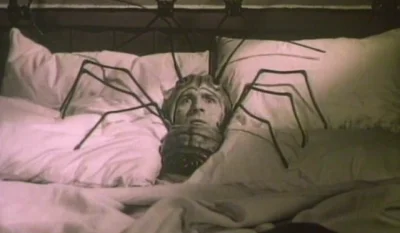 enten - Czesi zawsze byli pozytywnie p----------i jeśli chodzi o tego typu twórczość