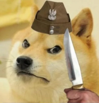 Bagnetemmoimfrancuskim - #przegryw 
Pryczyłeś? Pytam się, køřf@, czy pryczyłeś?! ヽ( ͠...