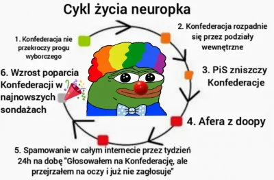 Ryneczek - Parafrazując JE Romana Dmowskiego: neuropa bardziej Konfederacji nienawidz...