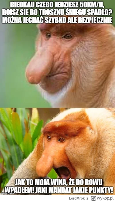 LordMrok - @Epiktetlol: