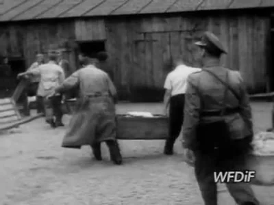 PfefferWerfer - @ZostaneMistrzem: Nazywajmy to po imieniu - SPEKULANT ( ͡° ͜ʖ ͡°)