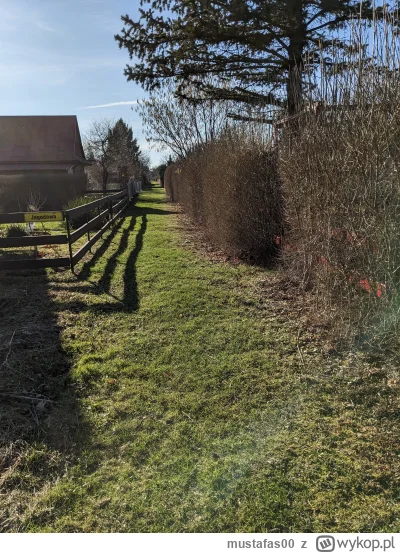 mustafas00 - @Wojciech_Skupien: 
Pozdrawiam