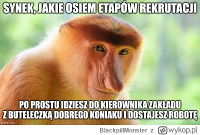 BlackpillMonster - #programista15k #programowanie #pracait #korposwiat