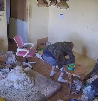 Turkotka - To w końcu On nie robot czy robot 

#danielmagical #patostreamy