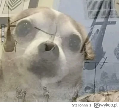 Stalionnn - #nieruchomosci #polityka

Wiemy że developerzy finansowali polityków KO i...