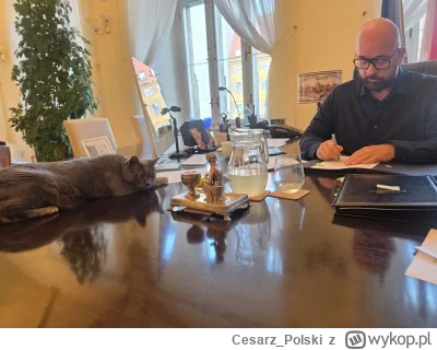 Cesarz_Polski - #kotekwrocek #wroclaw