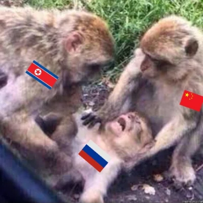 delulusional - Hej ruskie, r u good?
XDDDDDDDDDD