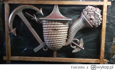 Falcinho - Co to jest? Ile kosztuje? Gdzie można kupić coś podobnego? Pytam w imię ta...