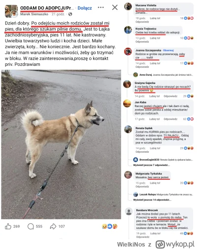 WielkiNos - Grupa, na której ludzie oddają psy i tylko temu służy. Człowiek po śmierc...