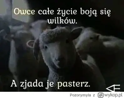 Pantagruelion - @justanotherdude: Motłochem nie trzeba zarządzać im się tylko trajekt...