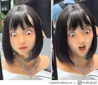 CipakKrulRzycia - @CipakKrulRzycia:
