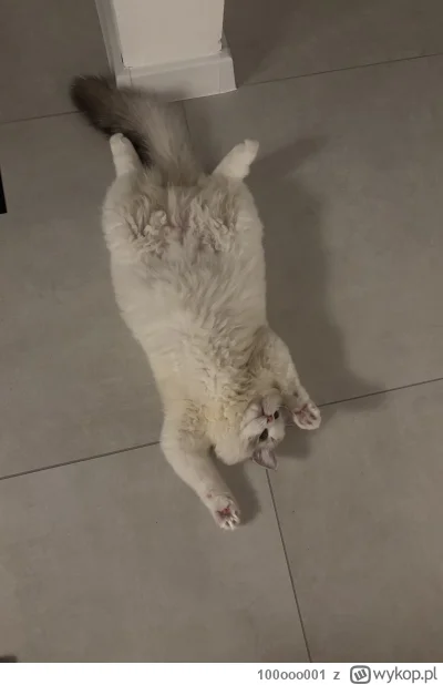 100ooo001 - @EmcePomidor3  Franio jak widać sam zachęca, ale nie gwarantuje, że odda ...