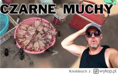 Knoblauch - #raportzpanstwasrodka Walduś ma dzisiaj fajną miniaturkę.