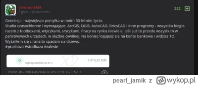 pearl_jamik - Ziomek z 4 letnim doświadczeniem  zawodowym PŁACZE, że 6 k na rękę to m...