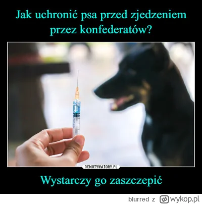 blurred - #bekazkonfederacji #szczepienia #zwierzaczki #polityka