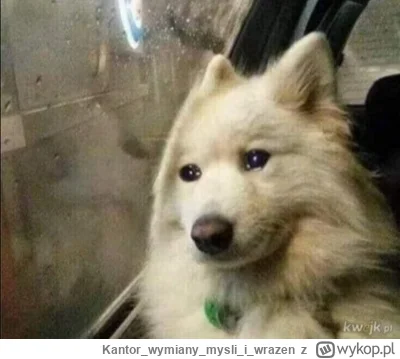 Kantorwymianymysliiwrazen - @Zwierz33: (ꖘ‸ꖘ)