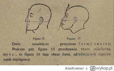 AbaKowner - @PixelNomad