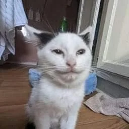 Jestem_Tutaj - @arsamakov