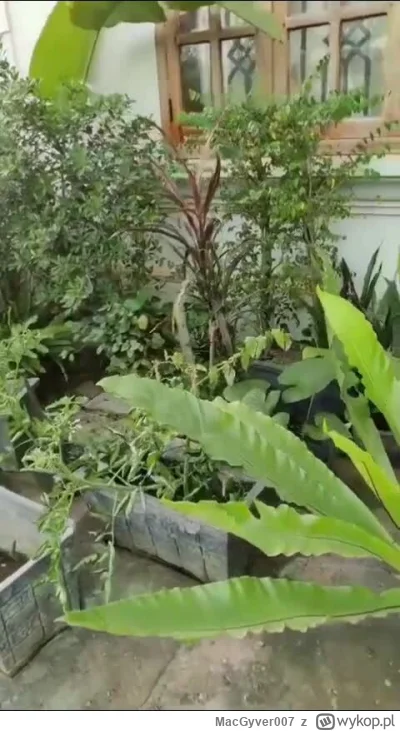 MacGyver007 - #raportzpanstwasrodka
11.07 kamerdyner mówi, że nie będzie nagrywania ...