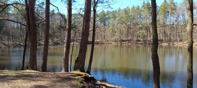 KladzSie - Jeziorko leśne