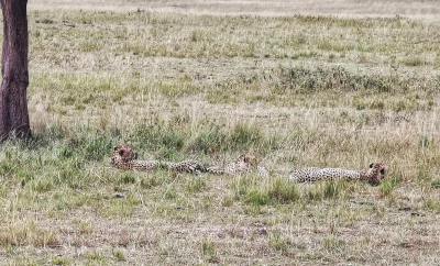 Iifeform - @aleksc: ale sieczka XD
Weź mu narób wstydu I wklej na jego profil na socj...