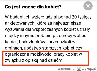 WielkiNos - >>Łączenie pracy w sejmie z wychowywaniem 3 dzieci to według Wielgus żadn...