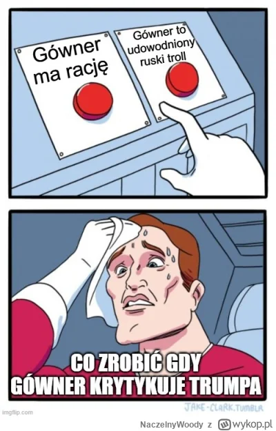 NaczelnyWoody - #ukraina #trump #polskieonuce