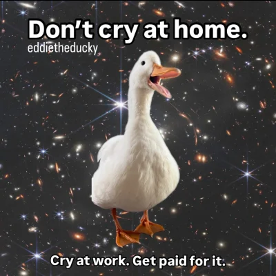 wybryk_natury - #zlodziejskiewybryki