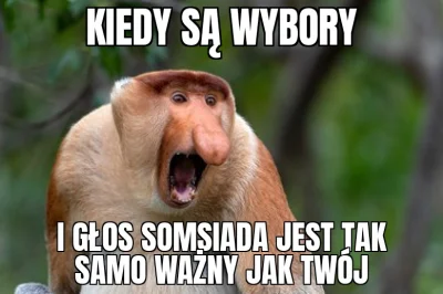 Adriian321 - #wybory #humorobrazkowy #heheszki #nosaczsundajski #nosacz