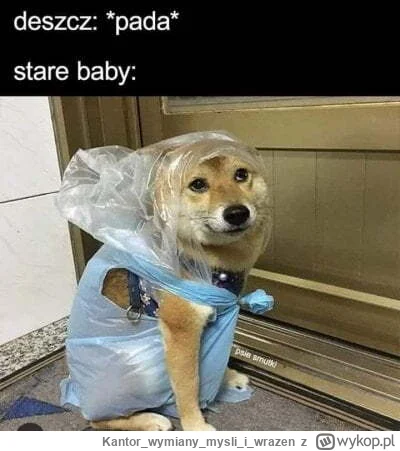 Kantorwymianymysliiwrazen - @Su-57: ( ͡° ͜ʖ ͡°)