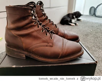 tomekwcalenie_tomek - @daftie123: