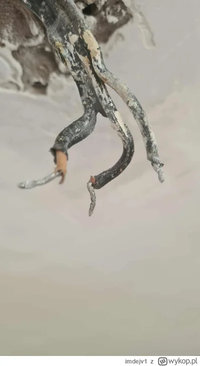 imdejv1 - Panowie elektrycy i pasjonaci, pośpieszyłem się oczywiście z odpięciem star...