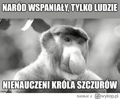 tomkol - #konkursnanajbardziejgownianymemznosaczem