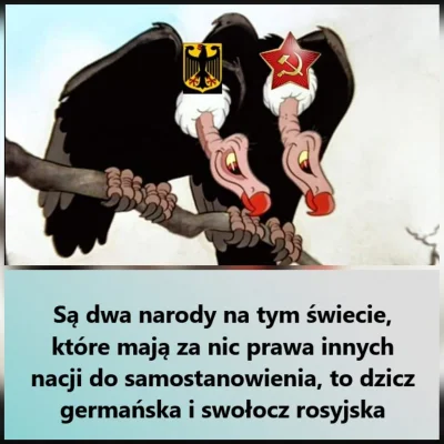 Kapitalista777 - #takaprawda #truestory #historia #wojna #4konserwy #humorobrazkowy