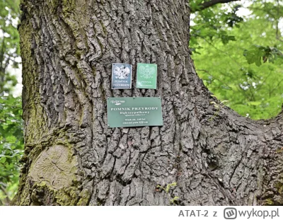 ATAT-2 - Mindfuck od dziecka - pomnik przyrody, stary, cenny nie wchodzić, szanować, ...