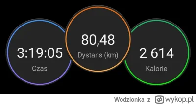 Wodzionka - pojechałem na te słynne #gassy i otrzymałem 3 propozycje stosunku w krzak...