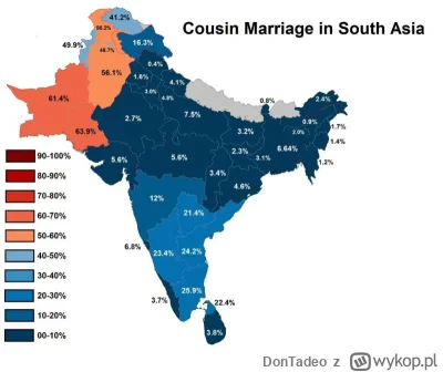 DonTadeo - @qoop Grafika w temacie małżeństw z Pakistańczykami ( ͡º ͜ʖ͡º)

Ludzie z t...