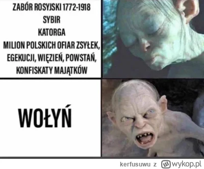 kerfusuwu - A zasugerowanie ruskiemu trollowi prawdy historycznej co do zbrodni ruski...