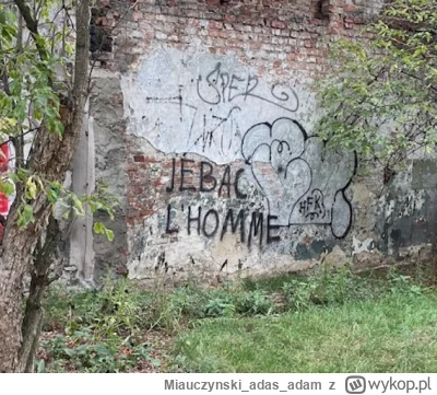 Miauczynskiadasadam - Już niedługo na osiedlu i w okolicznych lasach pierwsze ustawki...