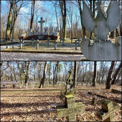 SnikerS89 - Ogromny cmentarz wojenny w Modlinie