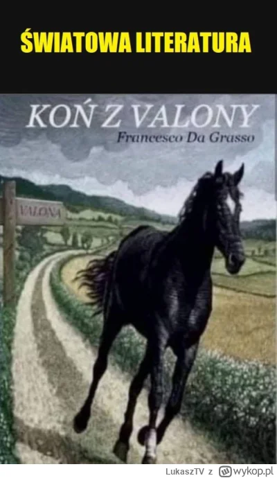 LukaszTV - @RiverStar: Koń z valony piękna literatura polecam!!