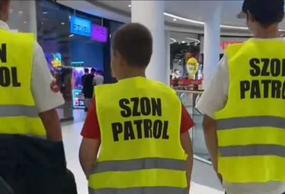 chcialbymbycnormalny - Jak widzę akcję z tym #szonpatrol to kisnę niemiłosiernie xD P...