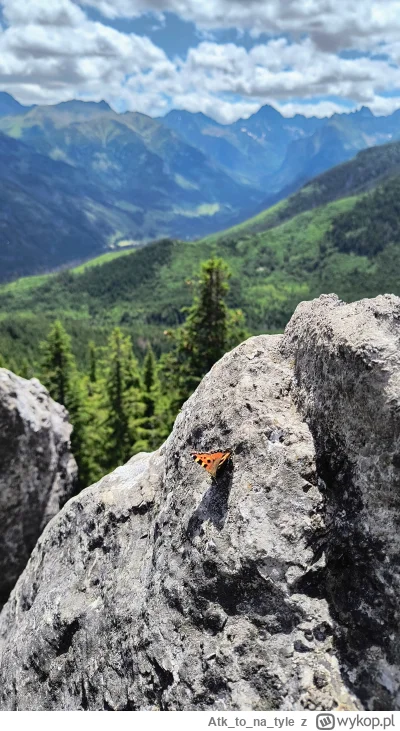 Atktona_tyle - Polska jest piękna, widok z Gęsiej Szyi w Tatrach :) czytałam wcześnie...